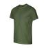 kaki