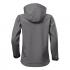 gris acier
