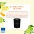 Fragrance bergamote orangée (Bergamote,  ylang, bois de cèdre): délai 4 à 6 semaines