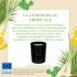 Fragrance citronnelle tropicale (citronnelle, herbe fraîche, trèfle) : délai 4 à 6 semaines