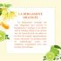 Fragrance bergamote orangée (Bergamote,  ylang, bois de cèdre): délai 4 à 6 semaines