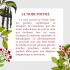 Fragrance noir poivré (Poivre noir,bois de santal,oud)  : délai 4 à 6 semaines
