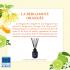 Fragrance bergamote orangée (Bergamote,  ylang, bois de cèdre): délai 4 à 6 semaines