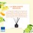 Fragrance bergamote orangée (Bergamote,  ylang, bois de cèdre): délai 4 à 6 semaines