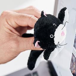 Schmoozies® : une utilisation fiable