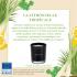 Fragrance citronnelle tropicale (citronnelle, herbe fraîche, trèfle) : délai 4 à 6 semaines