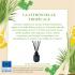 Fragrance citronnelle tropicale (citronnelle, herbe fraîche, trèfle) : délai 4 à 6 semaines
