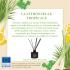 Fragrance citronnelle tropicale (citronnelle, herbe fraîche, trèfle) : délai 4 à 6 semaines