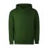 vert bouteille