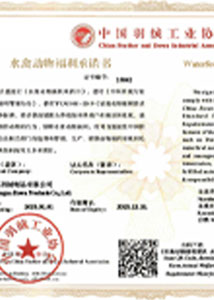 Certification 5