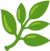 Durabilité et Écologie de mbw