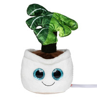 Schmoozie Evergreenie langue de belle-mere de mbw